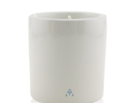 Bjork & Berries Scented Candle - White Forest  240g 8.5oz Online