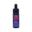 Fes Flower Essences FES Quintessentials Indian Paintbrush 7.5ml Supply