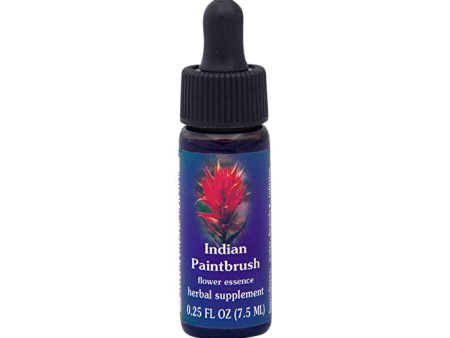 Fes Flower Essences FES Quintessentials Indian Paintbrush 7.5ml Supply