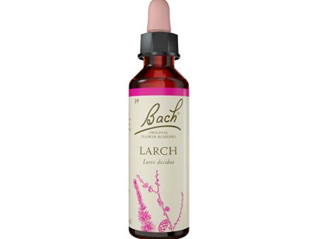 Bach Flower Remedies Larch 20ml Cheap